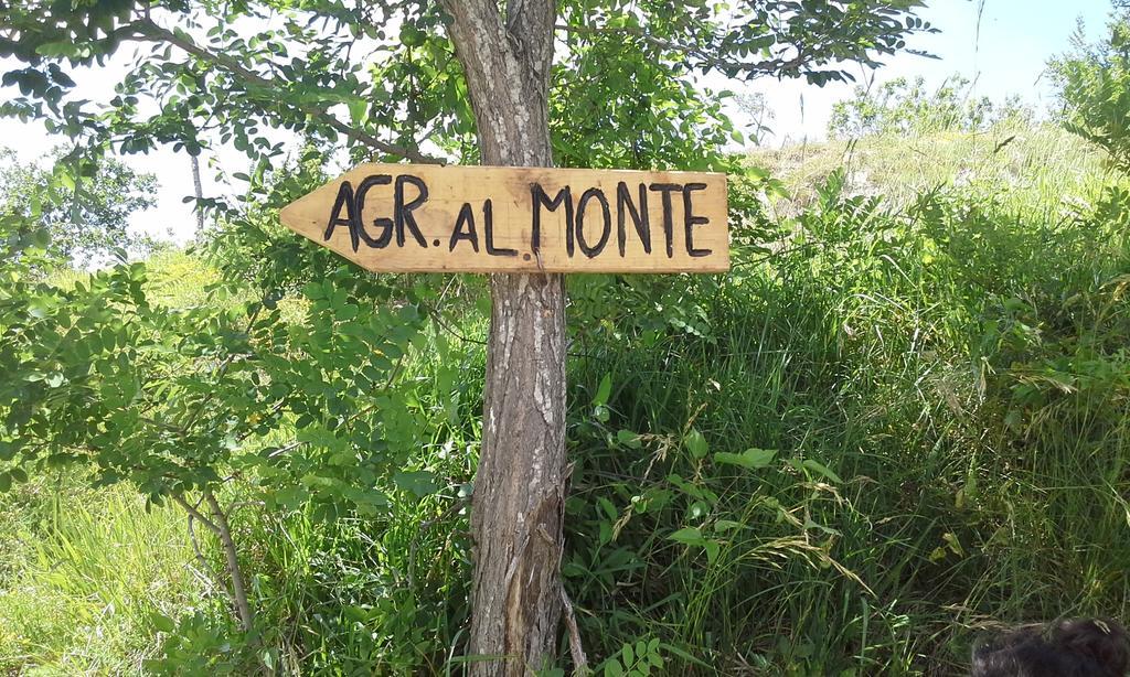 Agriturismo al Monte San Piero in Bagno Exterior foto